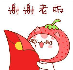 谢谢您给我这样的合作机会