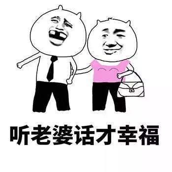 相思树的心情