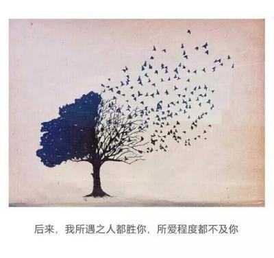 寻一无人山谷