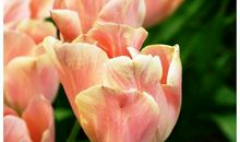 朋友圈说说语录