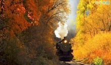 说到心坎的经典语录