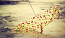 看了想哭的伤感语句：四下无人的街，你留我一个人流浪