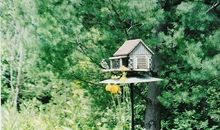 人要学会换位思考的说说