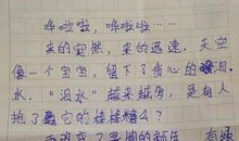 描写雨的片段100字