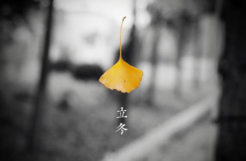 冬天来了