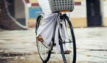 形容开心的作文句子