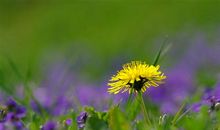 忍忍就过去了的心情说说