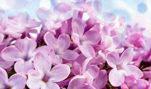 描写喜悦心情的句子