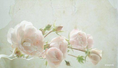 要聪明