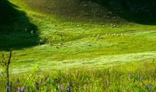 团结小组口号大全