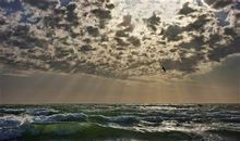 反省的现实句子