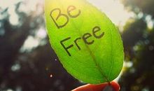 经典语录2017年：愿你以后眉眼带笑，对往事足够坦荡