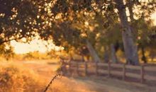 对家庭充满失望的句子