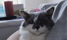 窝在家里看电视的说说 在家看电视轻松的说说