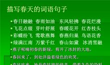 描写雨的词语和句子