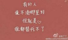 关于感情的说说