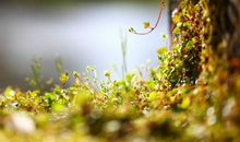 关于友情的句子短的精选