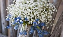 感恩2017朋友一起努力的句子