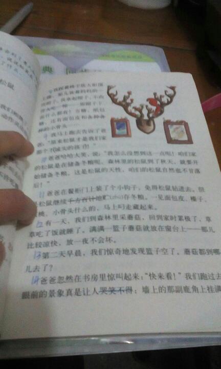 当谈到松鼠时