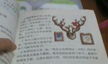 描写松鼠的句子