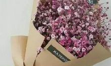 一个女人对婚姻失望的句子