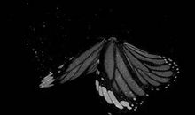 对亲人失望的句子心情