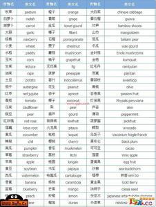 qq英文名字带翻译 0