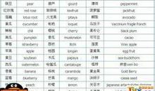 qq英文名字带翻译