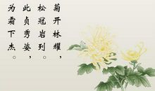 描写菊花的诗句