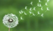 2018经典说说心情