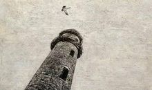 对丈人失望心寒的句子