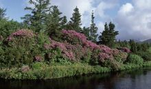 描写闺蜜温暖友情经典句子