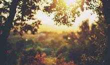 感叹时光匆匆的句子