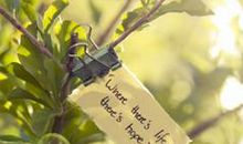 朋友圈说说开心的