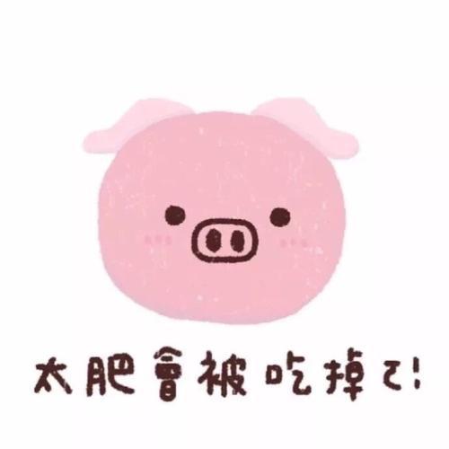 编辑整理了一些关于微信的漂亮句子