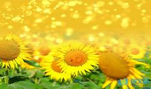 简单的正能量一句话