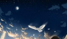 描写女人对男人失望的句子