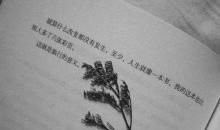 独木舟一粒红尘语录