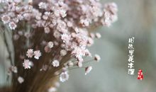 亲情幸福陪伴句子说说心情