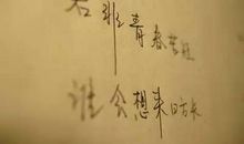 纪念青春的句子