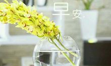 早安励志正能量满满的句子 每天一条正能量励志早安