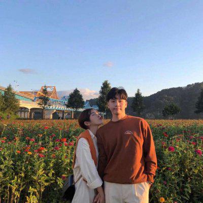 编辑编辑了一些写情书的快乐句子