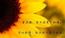 班级关于向日葵励志名言