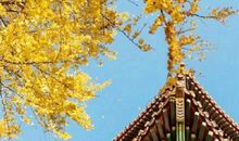 优美正能量短语