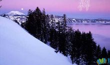 科学名人语句摘抄