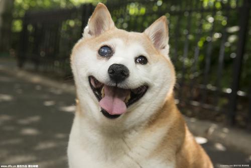 为幸福打开心窗