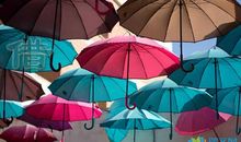 借景抒情的语句摘抄