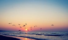 人开心最重要的句子