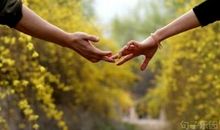 优美的早安心语：愿你精致到老，眼里长着太阳