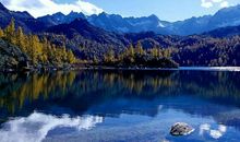 描写草原景色的句子